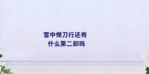 雪中悍刀行还有什么第二部吗