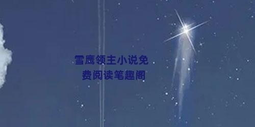 雪鹰领主小说免费阅读笔趣阁