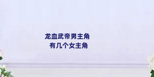 龙血武帝男主角有几个女主角