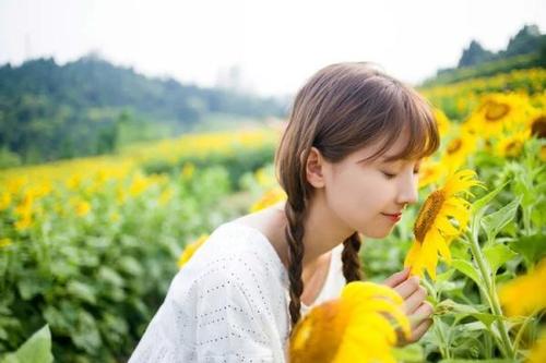人气较高的回合制游戏大全 2024受欢迎的回合制游戏分享 人气较高的回合制游戏大全 2024受欢迎的回合制游戏分享